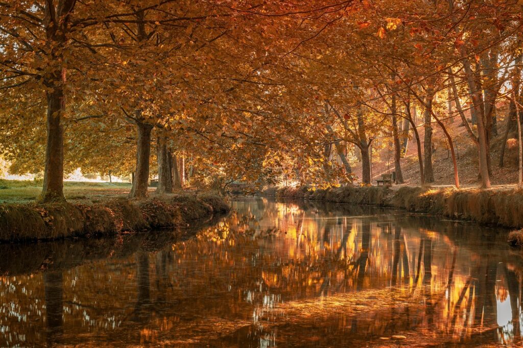 forest, river, autumn, woods, fall, nature, lake, landscape, caravaca de la cruz, spain, forest, forest, forest, river, river, river, autumn, autumn, fall, nature, nature, nature, nature, nature, landscape, landscape, landscape, spain, spain, spain